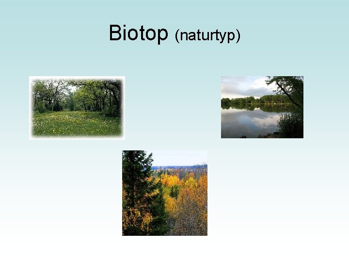 Biotop (naturtyp) 