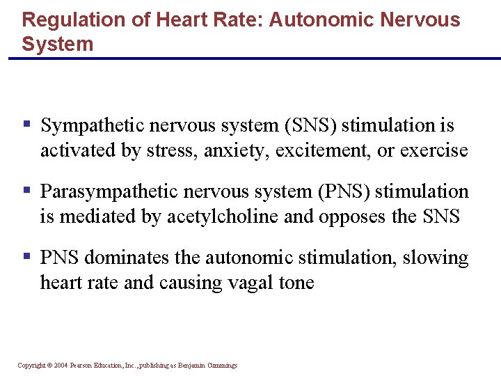 Regulation of Heart Rate: Autonomic Nervous System § Sympathetic nervous system (SNS) stimulation is