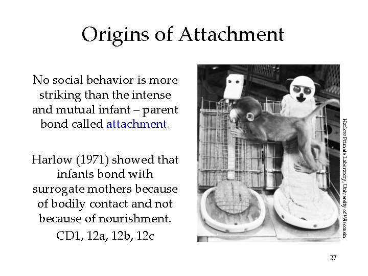 Origins of Attachment Harlow Primate Laboratory, University of Wisconsin No social behavior is more