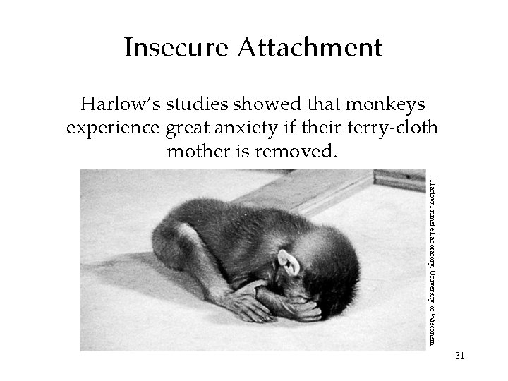 Insecure Attachment Harlow’s studies showed that monkeys experience great anxiety if their terry-cloth mother