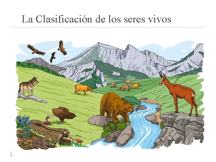 La Clasificación de los seres vivos 