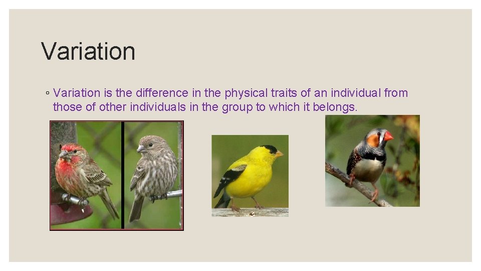 Variation ◦ Variation is the difference in the physical traits of an individual from