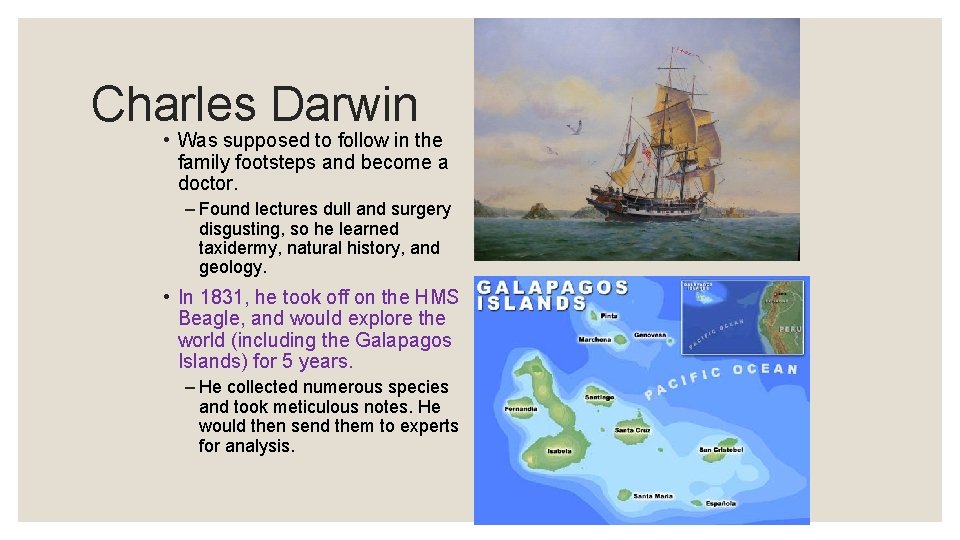 Charles Darwin • Was supposed to follow in the family footsteps and become a