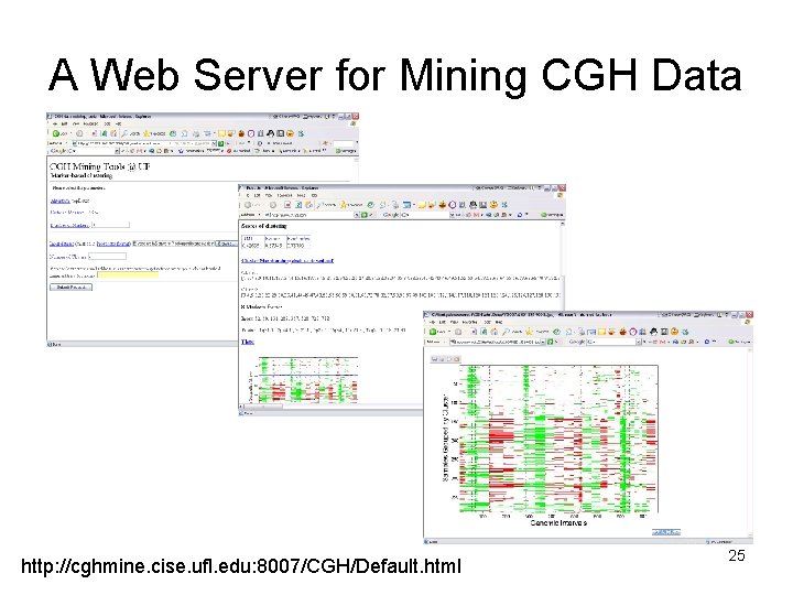 A Web Server for Mining CGH Data http: //cghmine. cise. ufl. edu: 8007/CGH/Default. html A Web Server for Mining CGH Data http: //cghmine. cise. ufl. edu: 8007/CGH/Default. html