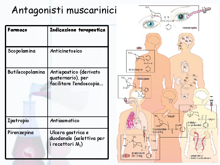 Antagonisti muscarinici (parasimpaticolitici) Farmaco Indicazione terapeutica Scopolamina Anticinetosico Butilscopolamina Antispastico (derivato quaternario), per facilitare