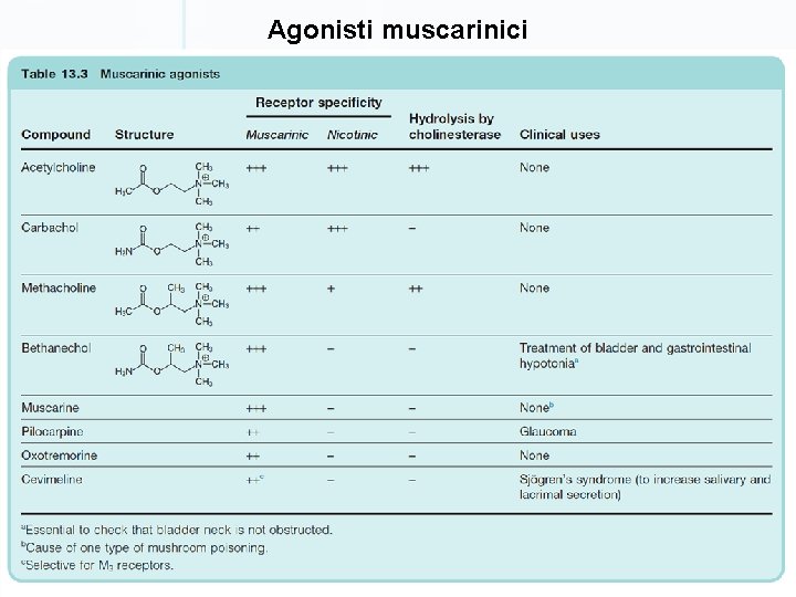 Agonisti muscarinici 