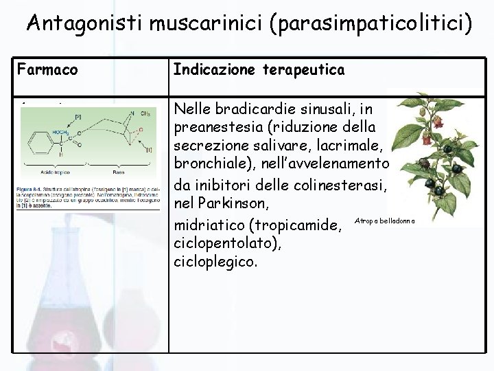 Antagonisti muscarinici (parasimpaticolitici) Farmaco Indicazione terapeutica Atropina Nelle bradicardie sinusali, in preanestesia (riduzione della