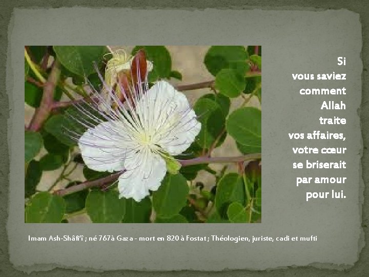Si vous saviez comment Allah traite vos affaires, votre cœur se briserait par amour