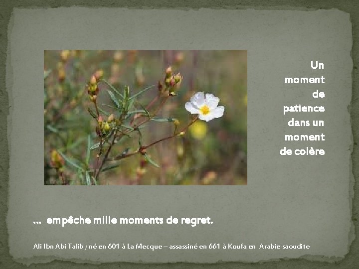 Un moment de patience dans un moment de colère … empêche mille moments de