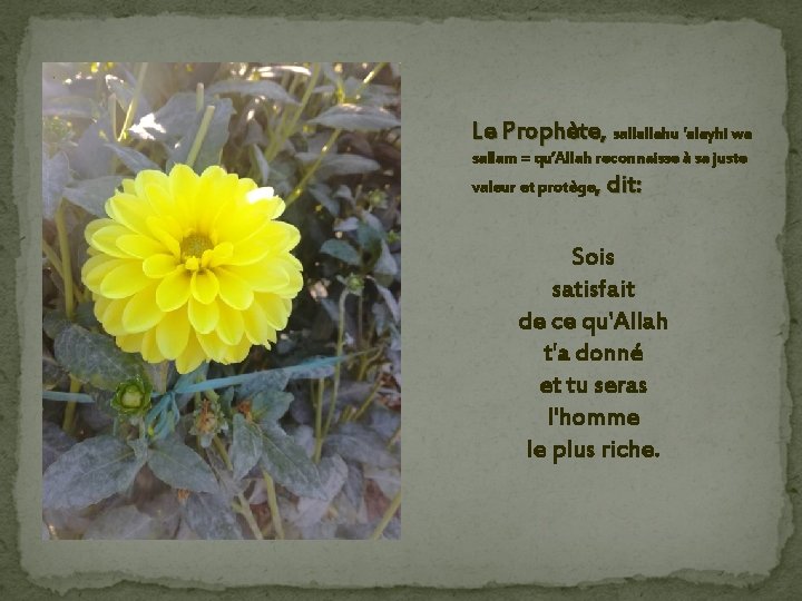 Le Prophète, sallallahu 'alayhi wa sallam = qu’Allah reconnaisse à sa juste valeur et