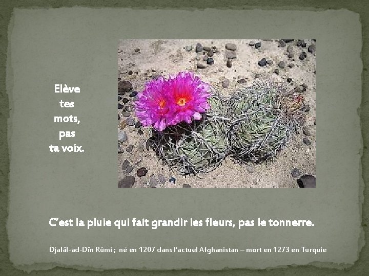 Elève tes mots, pas ta voix. C’est la pluie qui fait grandir les fleurs,