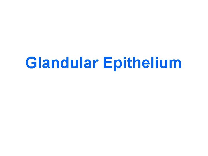 Glandular Epithelium 