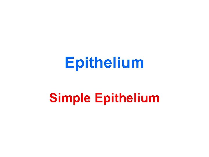 Epithelium Simple Epithelium 