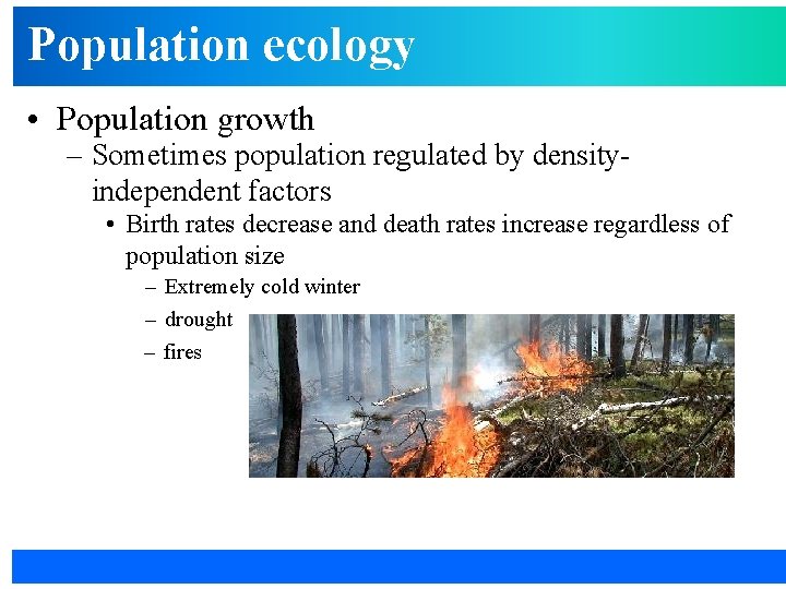 Population ecology • Population growth – Sometimes population regulated by densityindependent factors • Birth