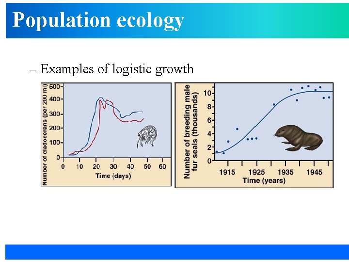 Population ecology – Examples of logistic growth 