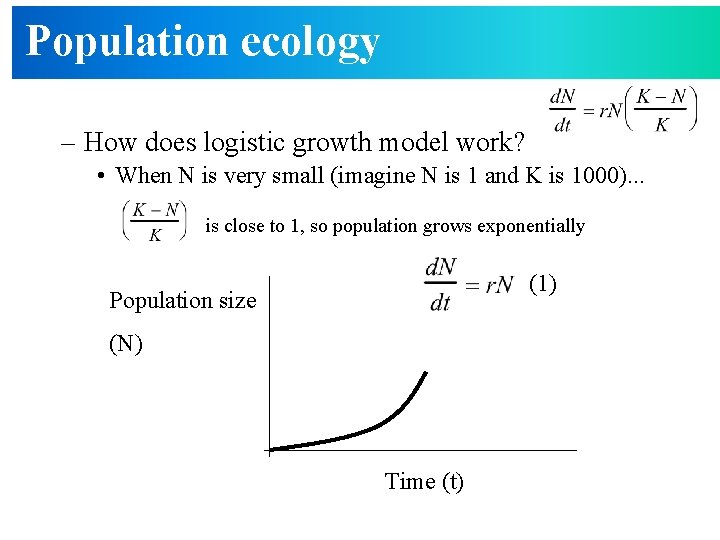 Population ecology – How does logistic growth model work? • When N is very