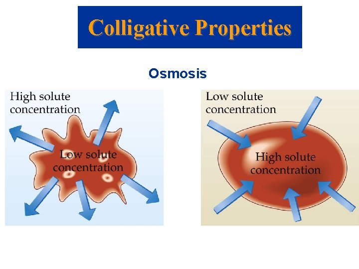 Colligative Properties Osmosis 