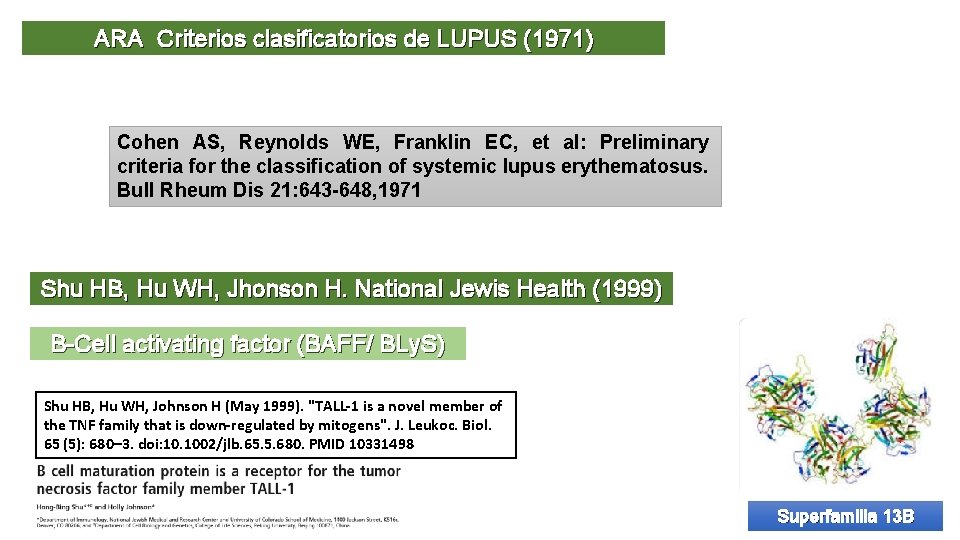 ARA Criterios clasificatorios de LUPUS (1971) Cohen AS, Reynolds WE, Franklin EC, et al: