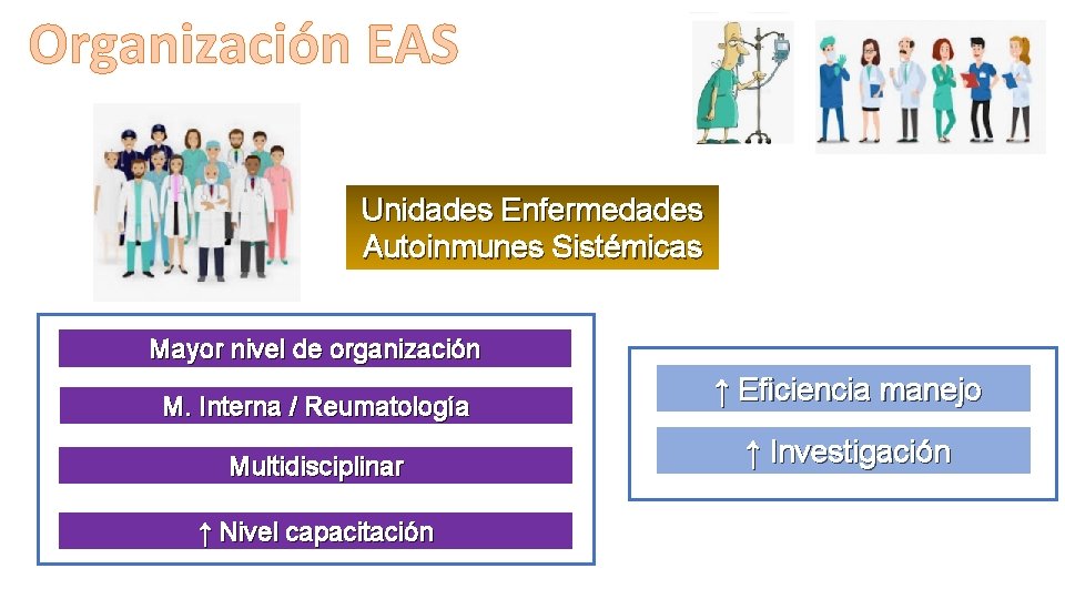 Organización EAS Unidades Enfermedades Autoinmunes Sistémicas Mayor nivel de organización M. Interna / Reumatología