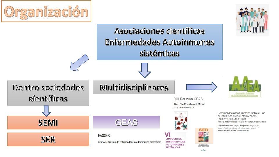 Organización Asociaciones científicas Enfermedades Autoinmunes sistémicas Dentro sociedades científicas SEMI SER Multidisciplinares GEAS 