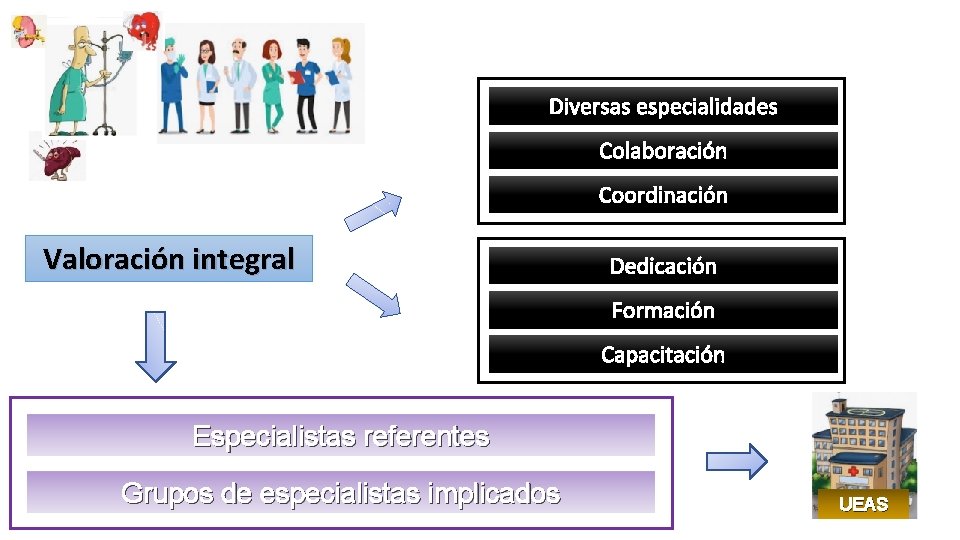 Diversas especialidades Colaboración Coordinación Valoración integral Dedicación Formación Capacitación Especialistas referentes Grupos de especialistas