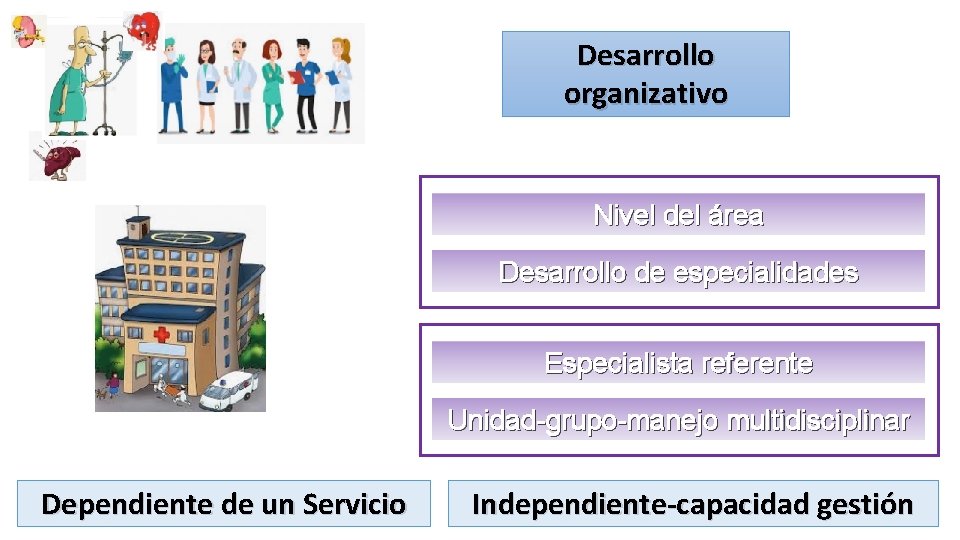 Desarrollo organizativo Nivel del área Desarrollo de especialidades Especialista referente Unidad-grupo-manejo multidisciplinar Dependiente de