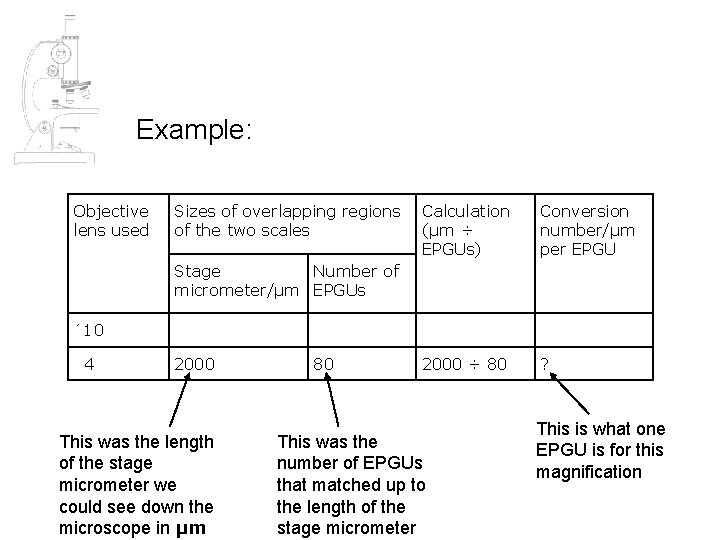 Example: Objective lens used Sizes of overlapping regions of the two scales Calculation (µm Example: Objective lens used Sizes of overlapping regions of the two scales Calculation (µm
