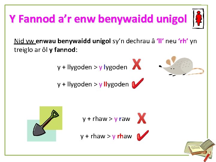 Y Fannod a’r enw benywaidd unigol Nid yw enwau benywaidd unigol sy’n dechrau â