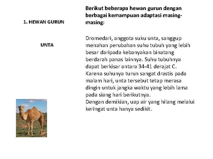 1. HEWAN GURUN UNTA Berikut beberapa hewan gurun dengan berbagai kemampuan adaptasi masing: Dromedari,