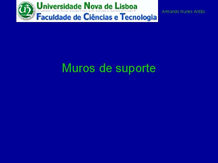 Armando Nunes Antão Muros de suporte 