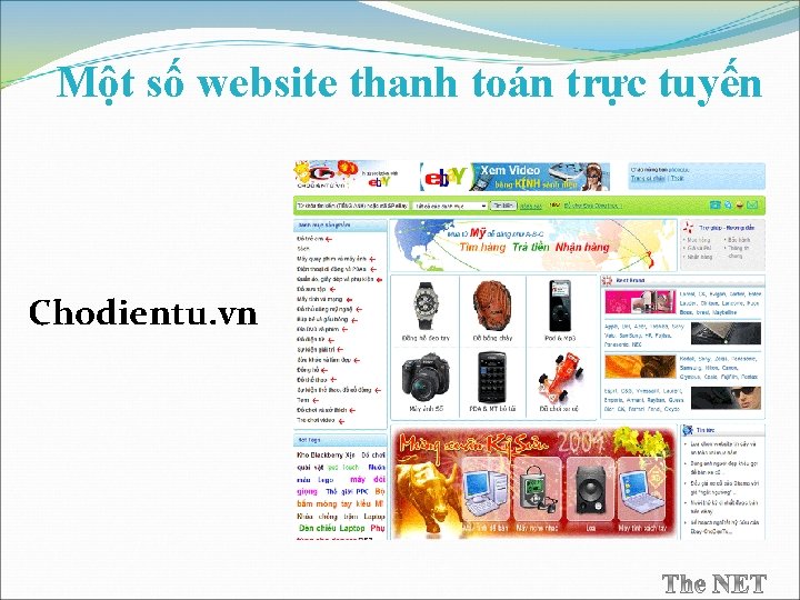 Một số website thanh toán trực tuyến Chodientu. vn 