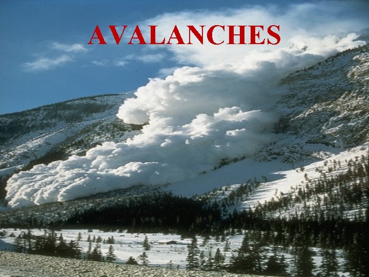 AVALANCHES 