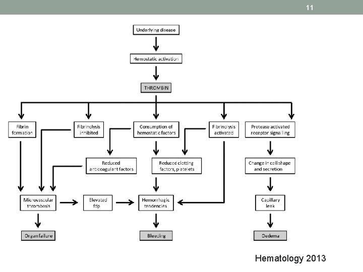 11 Hematology 2013 