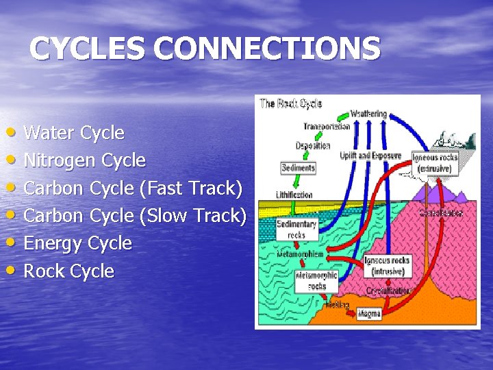 CYCLES CONNECTIONS • Water Cycle • Nitrogen Cycle • Carbon Cycle (Fast Track) •