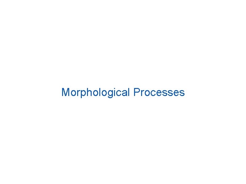 Morphological Processes 