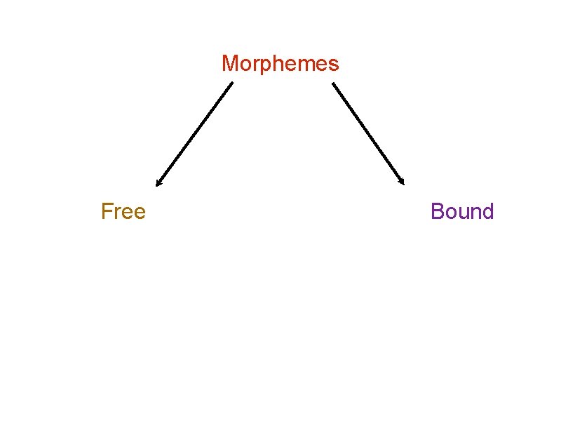 Morphemes Free Bound 