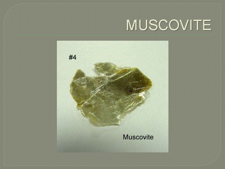 MUSCOVITE 