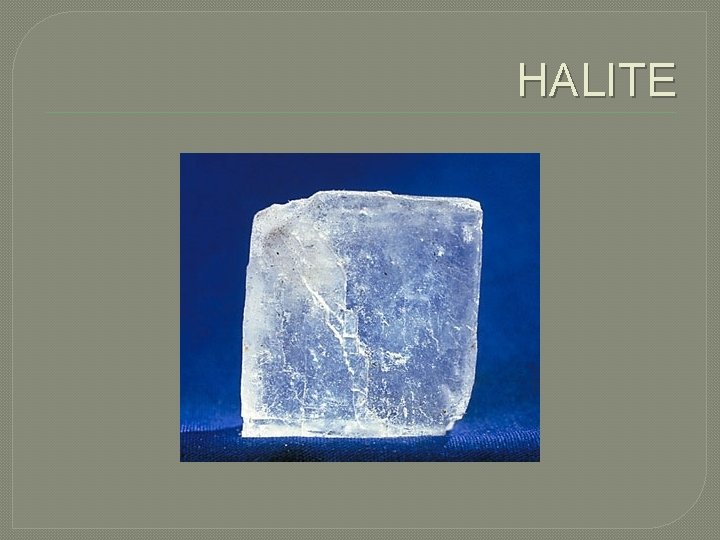 HALITE 