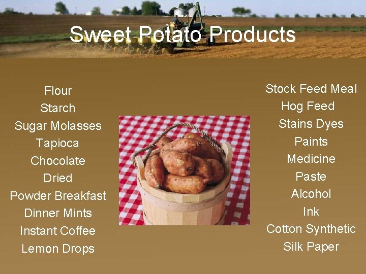 Sweet Potato Products Flour Starch Sugar Molasses Tapioca Chocolate Dried Powder Breakfast Dinner Mints