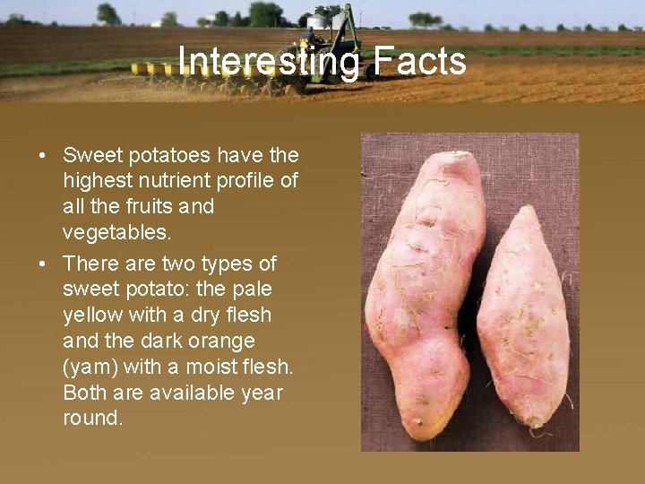 Interesting Facts • Sweet potatoes have the highest nutrient profile of all the fruits