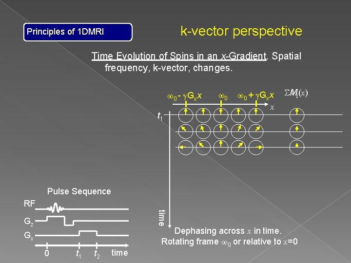 k-vector perspective Principles of 1 DMRI Time Evolution of Spins in an x-Gradient. Spatial k-vector perspective Principles of 1 DMRI Time Evolution of Spins in an x-Gradient. Spatial