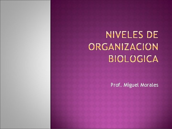 Prof. Miguel Morales 