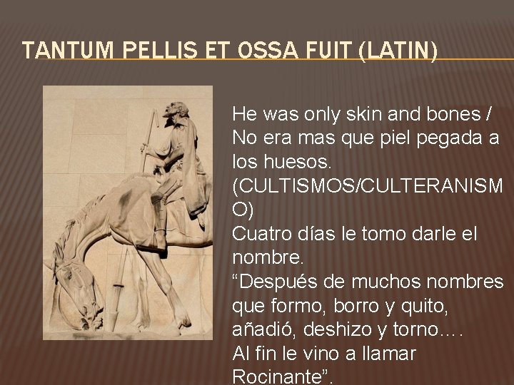 TANTUM PELLIS ET OSSA FUIT (LATIN) He was only skin and bones / No