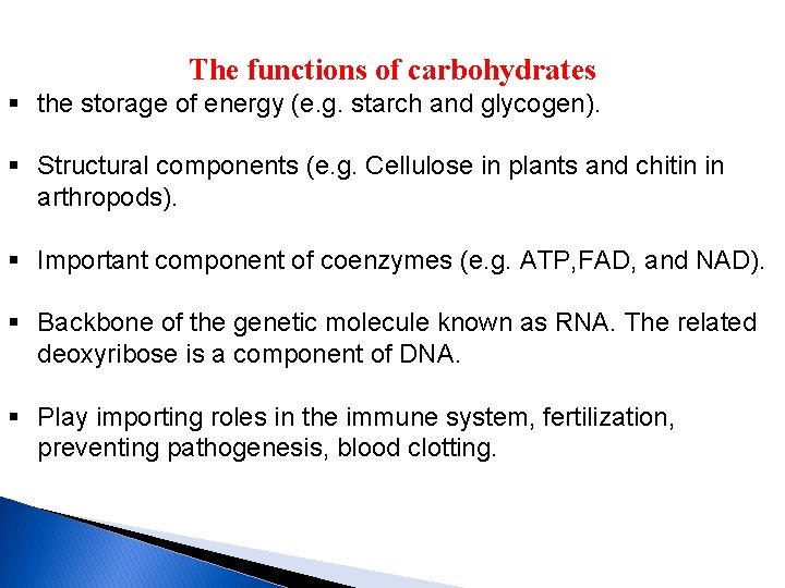 The functions of carbohydrates § the storage of energy (e. g. starch and glycogen).