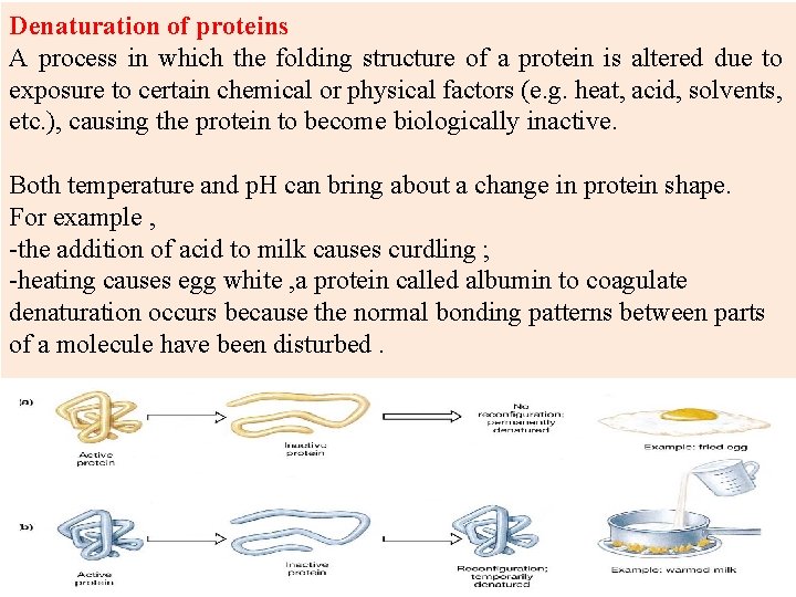 Denaturation of proteins A process in which the folding structure of a protein is