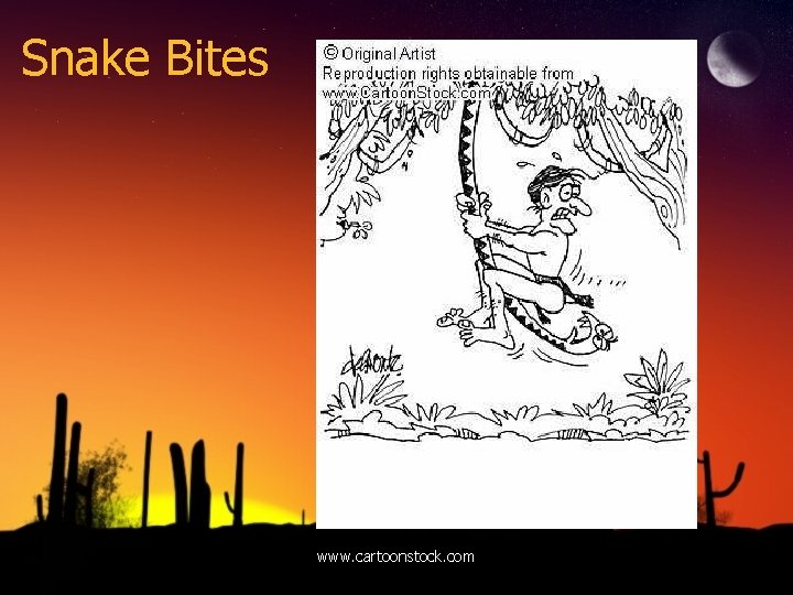 Snake Bites www. cartoonstock. com 