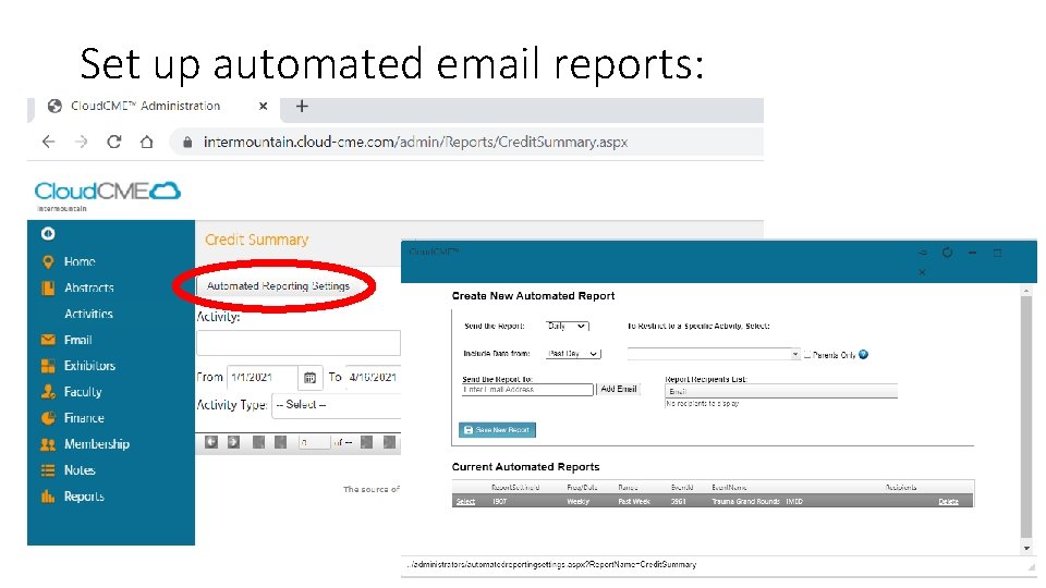 Set up automated email reports: 