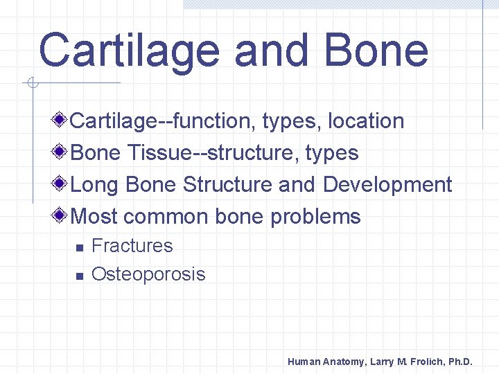 Cartilage and Bone Cartilage--function, types, location Bone Tissue--structure, types Long Bone Structure and Development