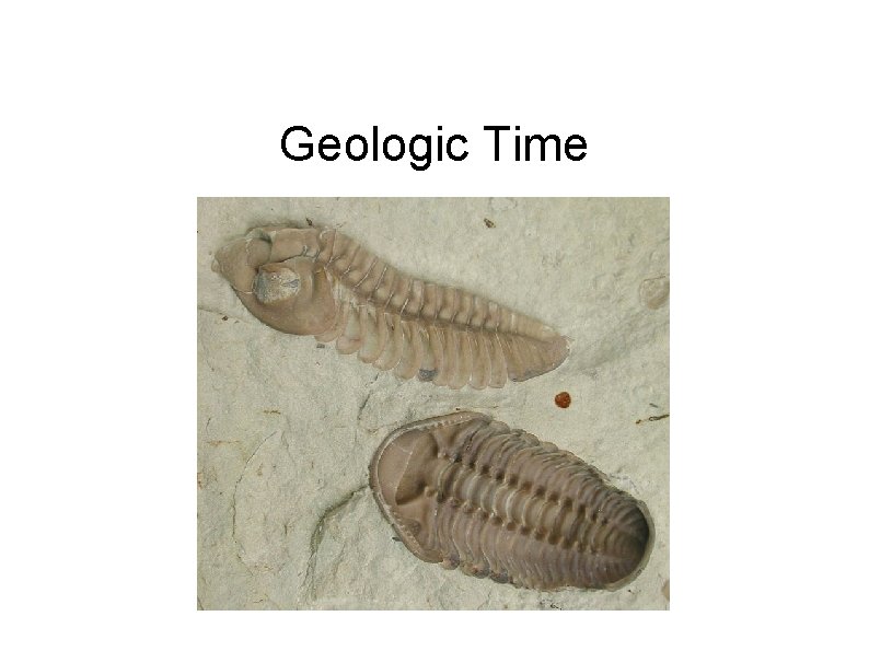 Geologic Time And changes in organisms 
