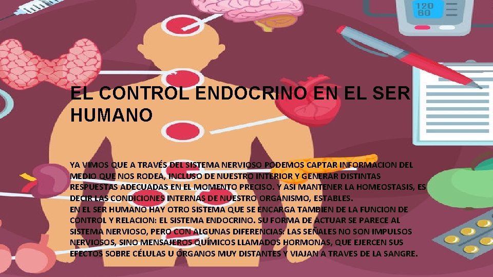 EL CONTROL ENDOCRINO EN EL SER HUMANO YA VIMOS QUE A TRAVÉS DEL SISTEMA EL CONTROL ENDOCRINO EN EL SER HUMANO YA VIMOS QUE A TRAVÉS DEL SISTEMA